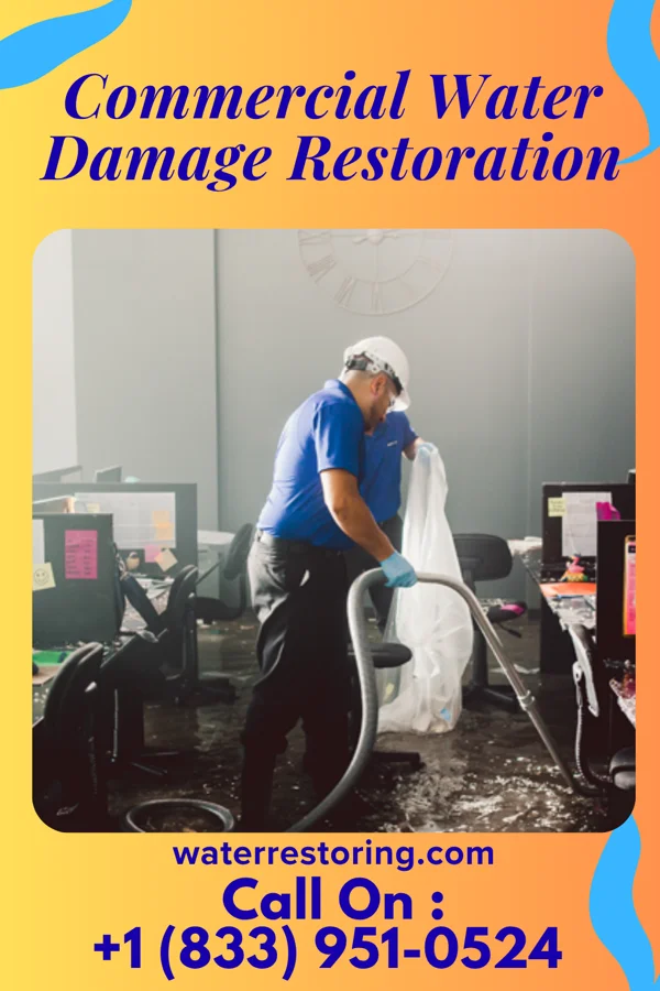 Commercial Water Damage Restoration in La Union, NM