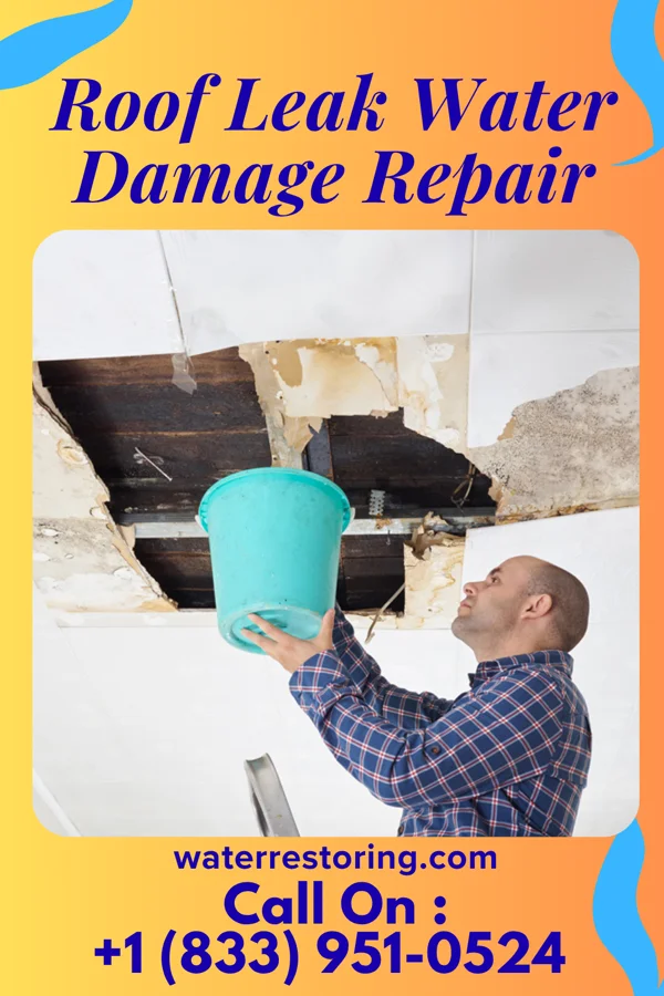 Roof Leak Water Damage Repair in La Union, NM