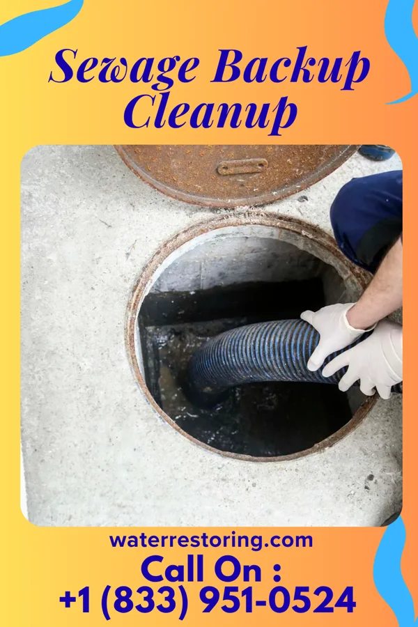 Sewage Backup Cleanup in La Union, NM